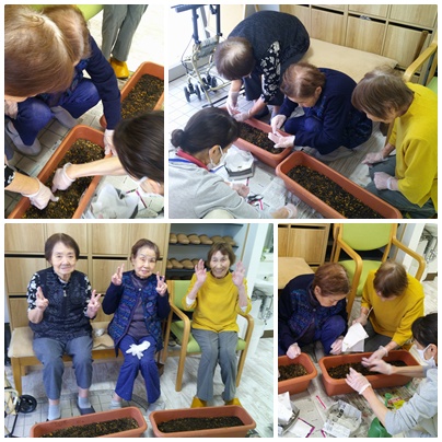 花植え🌸 お知らせ イメージ