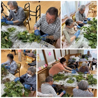 枝豆 収穫しました! お知らせ イメージ