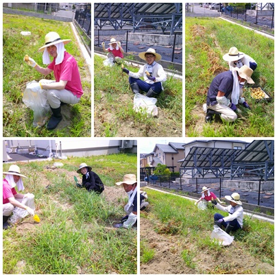 じゃがいも収穫🥔 お知らせ イメージ