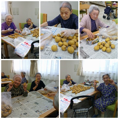 じゃがいも収穫🥔 お知らせ イメージ