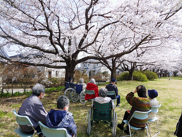 認知症対応型通所介護　デイサービスセンターみさと　花見にお出かけ