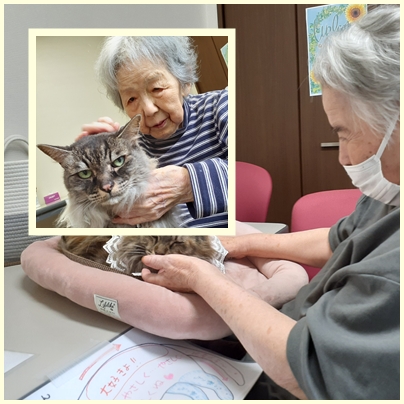 🐈✨アニマルセラピーを楽しみました✨ お知らせ イメージ
